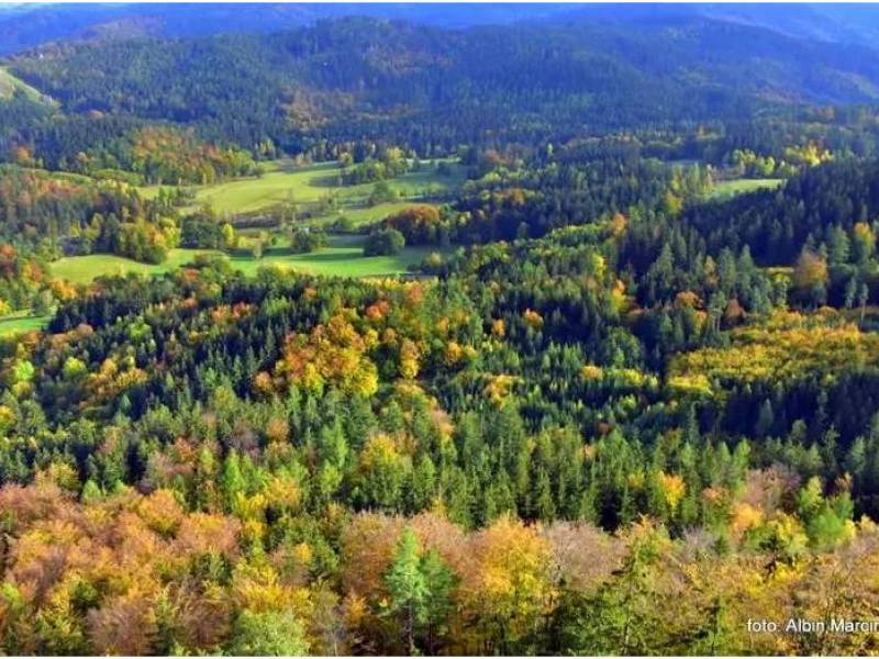 KONKURS NA NAJLEPSZE WAKACYJNE FILMY Z DOLNEGO ŚLĄSKA